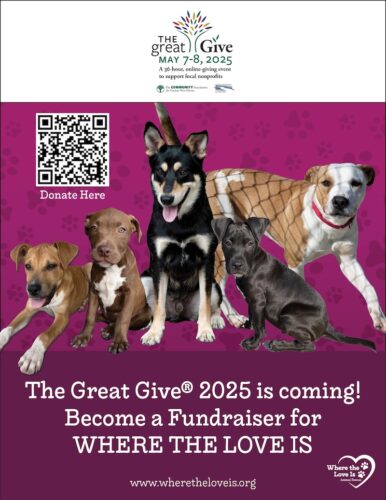 Great Give 2025