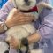 Benji (surrender)