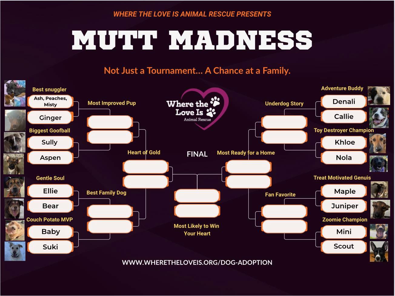 a march madness bracket showing the matchups between dogs