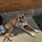 Roxy