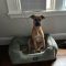 Roxy
