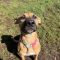 Roxy