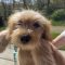 Baxter