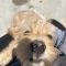 Baxter