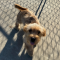Baxter