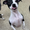 Nellie Mae