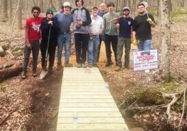 bridge scouts